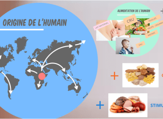 Les conférences sont très visuelles