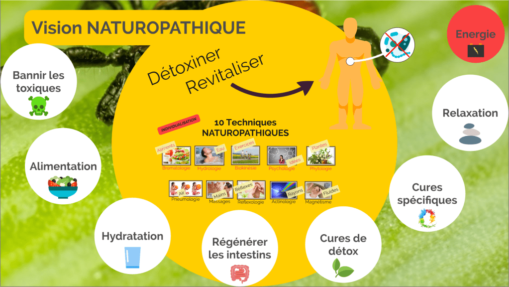 Le suivi naturopathique en cas de Maladie de Lyme fait intervenir 10 techniques au sein de cures de nettoyage bien adaptées à la personne.